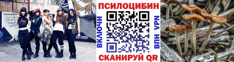 Галлюциногенные грибы Psilocybe  закладка  Сысерть 